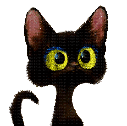 macska--mindig kicsit másak - Darmowy animowany GIF