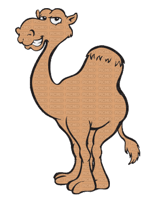camel bp - Gratis animeret GIF