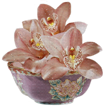 orchids pink bp - Darmowy animowany GIF