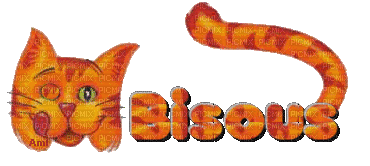chat bisous - Δωρεάν κινούμενο GIF