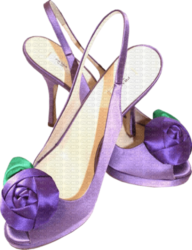 chaussures §mc - zadarmo png