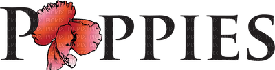 Poppies.text.Victoriabea - PNG gratuit