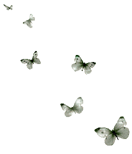 Schmetterlinge/Butterflys - Ücretsiz animasyonlu GIF