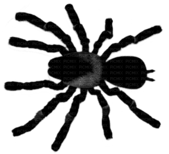 Spider.Black.Gray - PNG gratuit