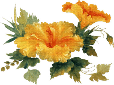 YELLOW FLOWERS - png gratuito