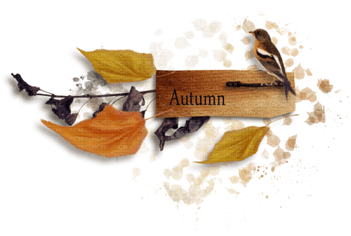 autumn text sign deco leaves bird kikkapink - gratis png