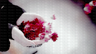 FLORES - Free animated GIF
