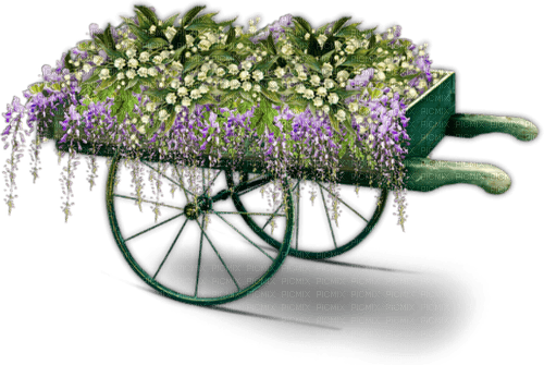 Carreta de flores - ücretsiz png