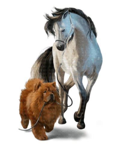 loly33 chien cheval - zdarma png
