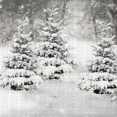 kikkapink winter snow background animated trees - GIF animasi gratis