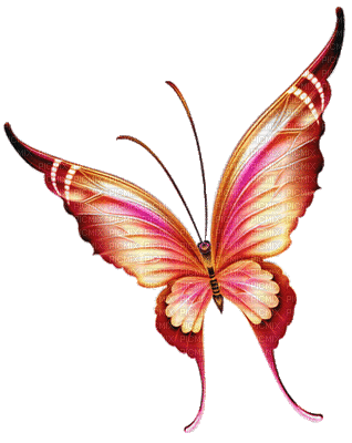 Mariposa - 無料のアニメーション GIF