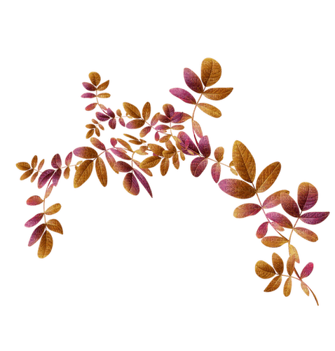 autumn branch leaves deco png kikkapink - 免费PNG