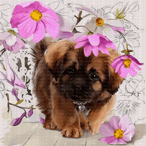 dog by nataliplus - png ฟรี