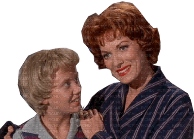 The Parent Trap - 1961 - zadarmo png
