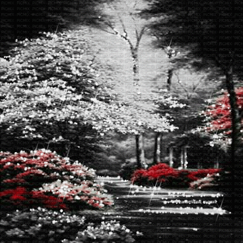 forest animated black white red - Gratis animerad GIF