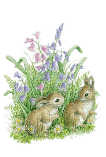 Häschen, Blumen, Frühling, Ostern - darmowe png