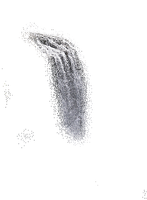 water katrin - Darmowy animowany GIF