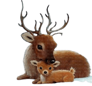 deer with her baby - png gratis