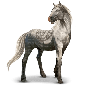 celtic horse - ücretsiz png