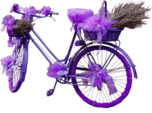 Bicikla - gratis png