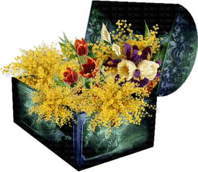 Flowers bp - kostenlos png