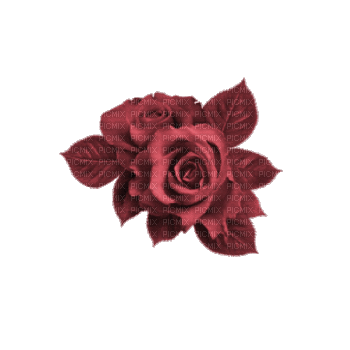Розы Бордо - Bezmaksas animēts GIF