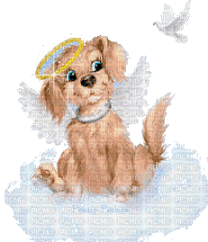 chien au paradis - 無料のアニメーション GIF