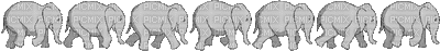 Elefant - GIF animado gratis
