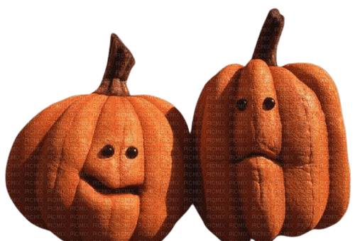 pumpkins - png grátis