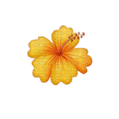 цветочек - GIF เคลื่อนไหวฟรี