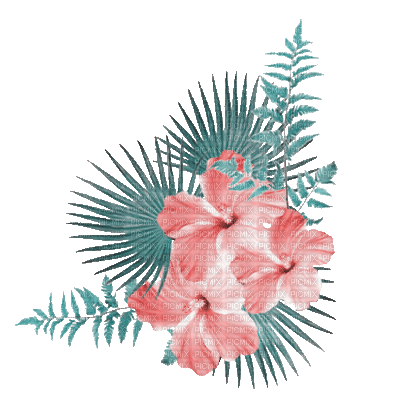 soave deco flowers summer branch animated tropical - Kostenlose animierte GIFs