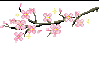 sakura/cherry blossom - Бесплатный анимированный гифка