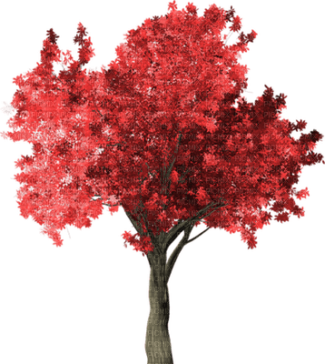 patrcia87 arbre - безплатен png