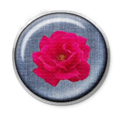 Jeans Button Blue Rose red - Bogusia - nemokama png