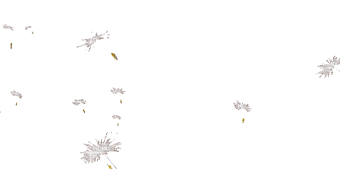 Цветок - Bezmaksas animēts GIF