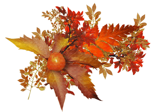 Autumn Bb2 - Free PNG