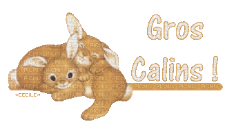 gros calins - Zdarma animovaný GIF