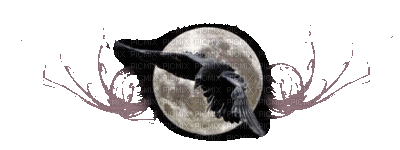 raven - GIF animado grátis