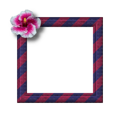 Small Pink/Purple Frame - бесплатно png