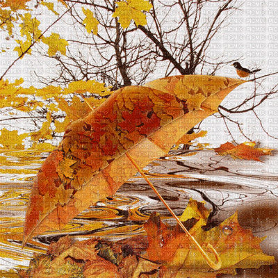 fond autumn automne - Gratis geanimeerde GIF