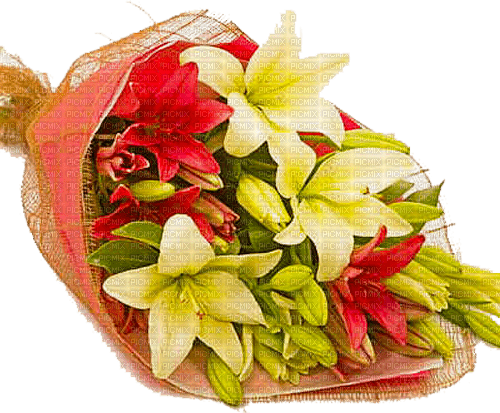 Y.A.M._Flowers bouquets - png gratuito