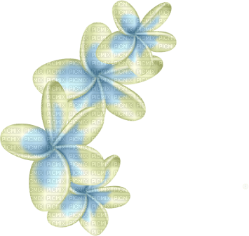 yellow flowers 2 - 免费PNG