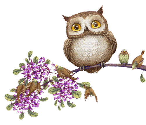 Y.A.M._Spring owl - Besplatni animirani GIF
