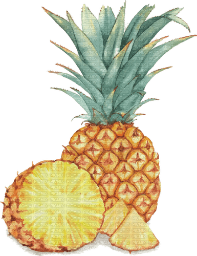 Ananas - darmowe png