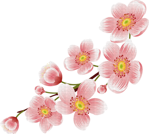 Flowers - PNG gratuit
