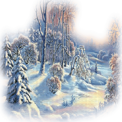 winter landscape paysage hiver - 免费PNG