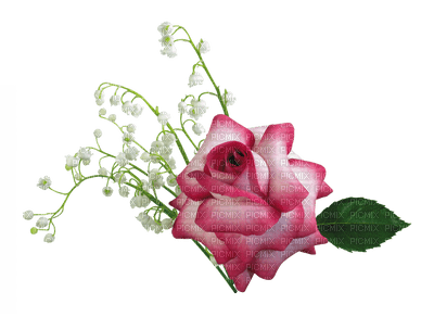 роза и ландыш - 免费PNG