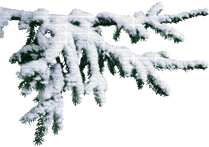 winter deco milla1959 - Zdarma animovaný GIF