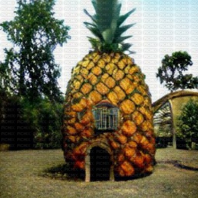 Pineapple House - ingyenes png