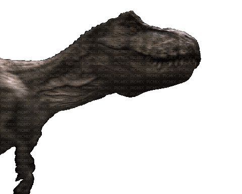 Angry T-Rex - Animovaný GIF zadarmo